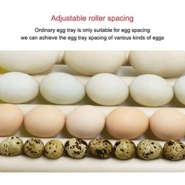 360° Automatic Rotary Egg Turner Roller Tray Eggs Incubator Accessories Roller Pattern Egg Turner Tray 42/56/156 eggs