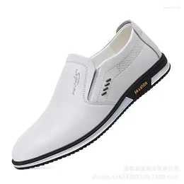 Casual Shoes Men Leather Brand Fashion Loafers High Quality Adult Moccasins Driving Male Footwear Unisex 2024