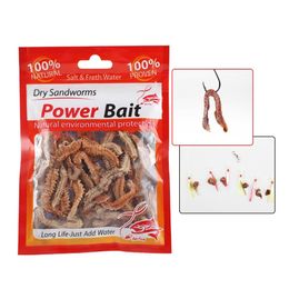 1-50Pack Lifelike Dry Lugworm Sandworms Fishing Lures Saltwater Freshwater Feeder Sea Fishing Worms Smell Soft Artificial Bait