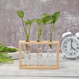 Vases Iron Wood Frame Transparent Glass Vase Bonsai Desktop Ornament Home Office Decor