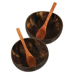 Bowls 2 Sets Fruit Bowl Rice Painting Kitchen Multipurpose Coconuts Decor Multi-function Storage Unique Pattern Home