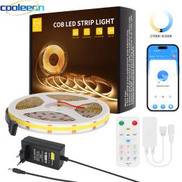 5m 10m CCT COB LED Light Strip 2700K 6500K Color Temperature Tunable with Bluetooth Dimmer RF APP Control for Home Bedroom Decor
