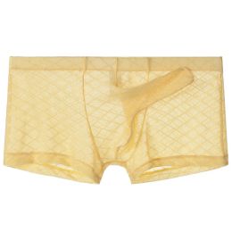 Sexy Men Mesh See-Through Boxer Briefs Breathable Underpants Elephant Nose Boxershorts Ultra Thin Flat Boxers JJ Sleeve Lingerie