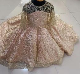 Sparkly Gold Lace Little Girls Pageant Dresses Sequined Ball Gown Flower Girl Dress For Wedding Long Sleeves First Communion Gowns1319600