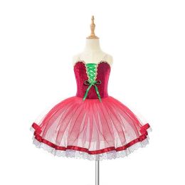 New Ballet Dance Dresses For Girls Ballet Leotard Woman Performance Dance Wear Stage Costume Dresses For Prom Gymnastics Clothes