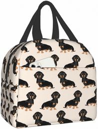 dachshund Dogs Insulated Lunch Bag Women Cooler Tote Box Leakproof Reusable Lunch Bags for Office Work School Picnic Portable 53Oo#