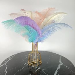 10Pcs/Lot Colorful Ostrich Feathers for Clothes Crafts DIY Feather Plume Home Decor Table Centerpieces Plumes Vase Decoration