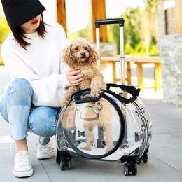 Cat Carriers Small Handbag Cats Transportin Outdoor Kitten Hamster Wheels Jaula Para Gatos Pets Accessories