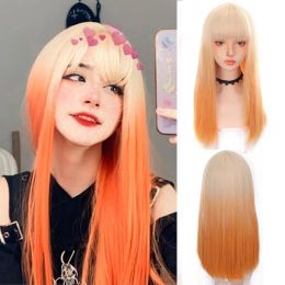 Wigs HOUYAN Synthetic Long Straight Hair Ladies Silver and Brown Bangs Wig Cosplay Lolita Wig Wig Everyday Party