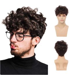 Wigs Men's Wigs Short Brown Synthetic Wig with Bangs Curly Fake Hair For Male Halloween Costume Cosplay Natural Wig