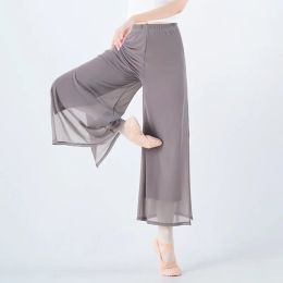 Women's Classical Dance Pants Chinese Folk Practise Dance Pants Elegant Adult Double-layer Mesh Splice Side Split Trousers