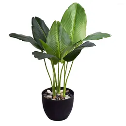 Decorative Flowers Green Indoor Or Outdoor Low Maintenance Plant Decoration For Home Decor Long-lasting Durability