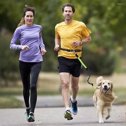 Dog Collars Jogging Leash Reflective Strip Durable Polyester With Adjustable Waist Belt Hands-Free