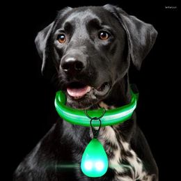 Dog Collars Pet LED Glow Pendant Glow-in-the-dark Anti-lost Light USB Night Walk Cat And Multi-color Collar Supplies