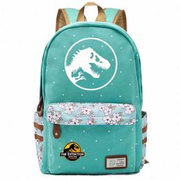 jurassic Park Dinosaur Boy Girl Kids School Book Bags Women Bagpack Teenagers Schoolbags Canvas Laptop Travel Backpack Z211#
