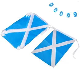 Party Decoration Scotland Flags Scottish Small String Mini Flag Pennant Banner