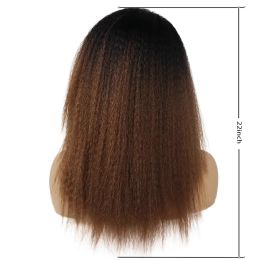 GNIMEGIL Synthetic Yaki Hair Wig Afro Kinky Straight Hair Wig for Black Women Daily Use Natural Ombre Brown Fluffy Hairstyle