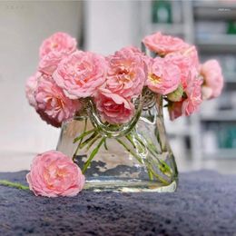 Vases Hand-made Bubble Glass Transparent Handbag Vase Flowers Basket Decorative Ornaments Hydroponic Simple Flower Device Room Decor