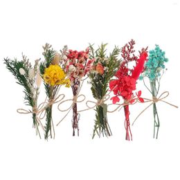 Decorative Flowers 6 Pcs Mini Dried Flower Bouquet Dry For Vase Crafts Happy Candy Bouquets