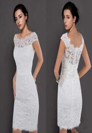 Elegant Applique Lace Short Wedding Dresses Sheath Capped Sleeves Scoop Neck Garden White Bridal Reception Gowns Cheap7686142