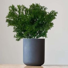 Decorative Flowers Simulation Parsley Greenery Plant Green Desktop Ornament For Indoor Office