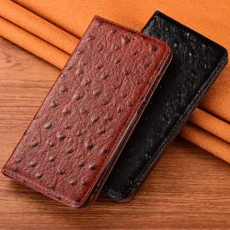 Ostrich Pattern Genuine Leather Phone Case For iPhone 15 Pro Max 14 13 12 11 Pro Max 15 Plus 12 13 Mini Wallet Flip Cover Cases
