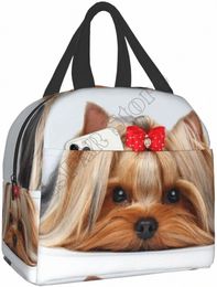 cute Ribb Yorkie Love Dog Lunch Bags for Women Boy Girl Reusable Insulated Lunch Box Suitable Travel Work Picnic Beach Office I3qA#