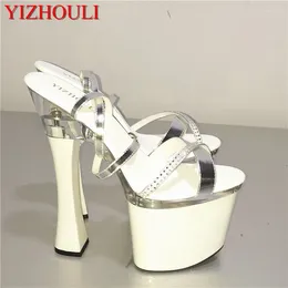 Dance Shoes Sexy Stage Party Ankle Straps 18cm Heels Platform Pole Pumps Model