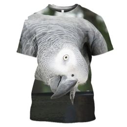 New Grey Parrot 3d Printed Bird Funny Animal Pattern Men's Women's Children's T-shirts Breathable Lightweight Summer Sports Tops