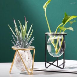 Vases 4Styles Transparent Glass Flower With Iron Base Nordic Exquisite Art Hydroponic Bottle Living Room Table Decoration