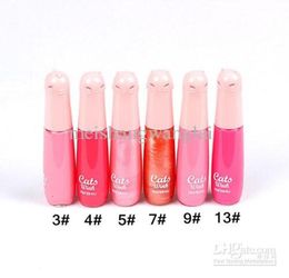 Lipgloss Lip Tint Stain 12pcs 12 Colour With Lip Moisture Extreme Plump Flashing Lip Gloss Lipstick Lipgloss Set High Quality M2259319940