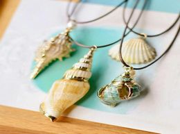 Natural Style Jewellery Seashell Colour Cowrie Shells CONCH Gold Border Travel Commemorative Women039s Collar Choker Necklace Jewe7392866