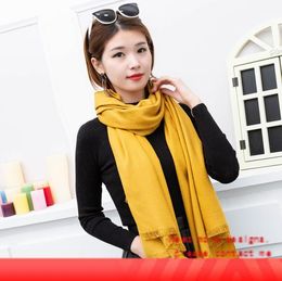 Designer Solid Colour Joker Imitate Cashmere Men And Women Winter Thickening Keep Warm Shawl Tassels Annual Meeting Red Scarf2791013