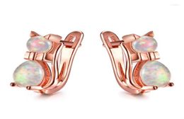 Hoop Earrings White Blue Pink Purple Opal Cute Small Cat Dainty For Women Vintage Rose Gold Silver Colour Animal Earring4656012