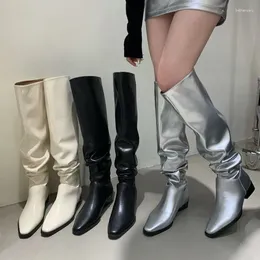 Boots Silver Botas Femininas Fall Pointed Toe Long Knee High Women Fashion Outdoor Shoes Thick Heel Zapatos Mujer