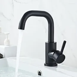 Bathroom Sink Faucets Basin Faucet Black Simple And Cold Water 304 Stainless Steel