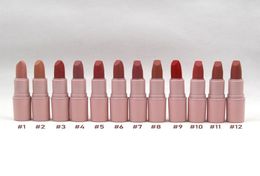 Pink Matte lipstick Shades Longlasting Easy to Wear Natural 12 Colours Makeup Wholesall Lip Stick4424963