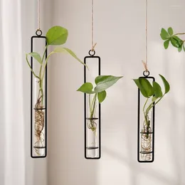 Vases Wall Hanging Test Tube Gardening Supplies Glass Thickened Vase Transparent Nordic Planter Garden