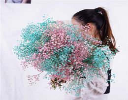 Big Bunch Baby Breath Natural Dried Preserved Gypsophila Flower Decor Home Wedding Bouquet Valentines Day Gift Craft Paniculata Y01043358