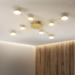 Ceiling Lights Light Minimalist LED Indoor Home Decoration Living Room Dining Lighting