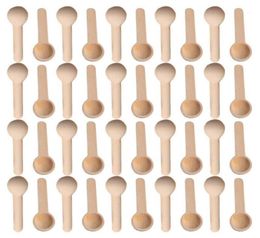 501002005001000Pcs Mini Nature Wooden Home Kitchen Cooking Spoons Tool Scooper Salt Seasoning Honey Coffee Spoons13499032