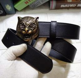 selling Mens womens black belt Genuine leather Business belts Pure Colour belt tiger pattern buckle belt for gift5724794
