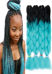 Two Color Ombre Kanekalon Synthetic Braiding Jumbo Braid Hair Extensions 24 Inch 100gpack Xpression Braiding Hair Crochet Box Bra3075584
