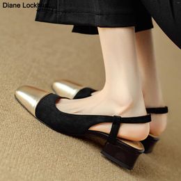 Dress Shoes Summer Pumps European And American Style Color Matching 3cm Sandals Big Size All-match Slingbacks Female Low Heel Designer
