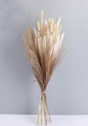 1 Set Dried Flower Natural Pampas Grass Wedding Bouquet Phragmites Reed Plants Christmas Home Decor Living Room Valentine039s D1875723