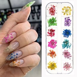 1Box 3D Dried Flower Nail Decoration Natural Floral Sticker Mixed Dry DIY Colourful Decals Jewellery UV Gel Polish Manicure 240430