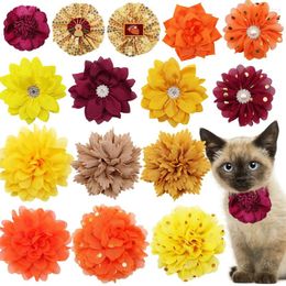 Dog Apparel 10PCS Various Fall Style Pet Cat Bowties Removed Flower Collar Bows For Chihuahua Grooming Accessories Dogs