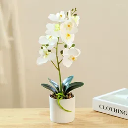 Decorative Flowers Creative Eight Heads Film Phalaenopsis Bonsai Simulation Flower Fake Pot Artificial Home Office Decoration