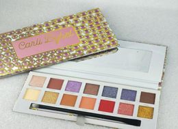 Makeup Palette Brand high quality Eye shadow 14colors Eyeshadow palette Instock6662529