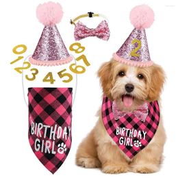 Dog Apparel 1 Set Pet Birthday Sequins Hat Adjustable Decorative Cat Bow Tie Triangle Scarf Supplies